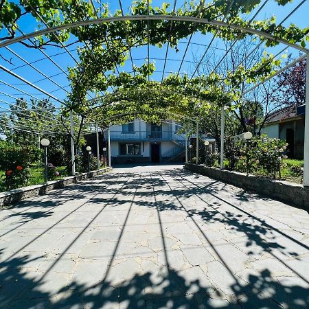 Big House Hotel Tbilisi Ngoại thất bức ảnh